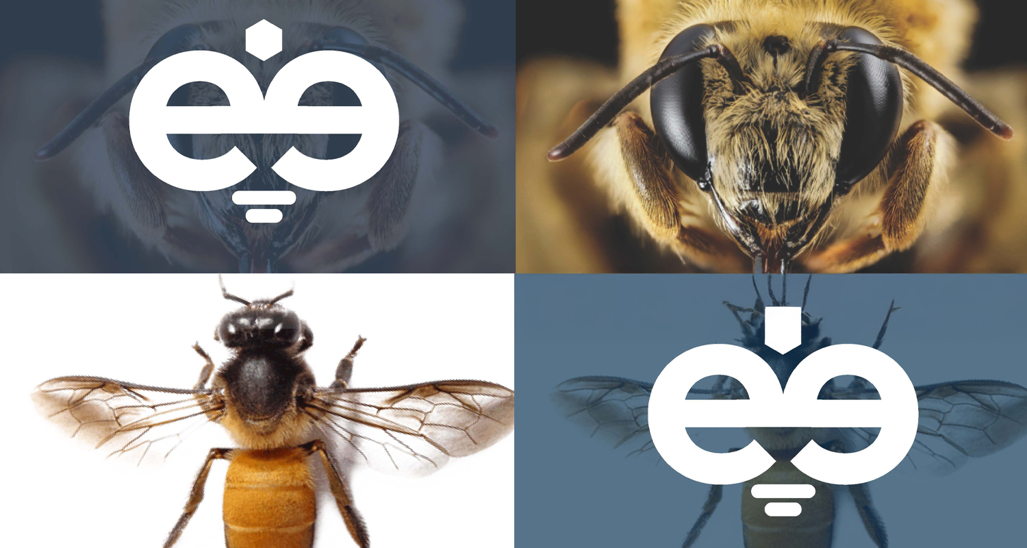 Directrice Artistique et UX/UI designer à Paris - Portfolio - Direction Artistique & UX/UI Design pour Globees - Charte Graphique
