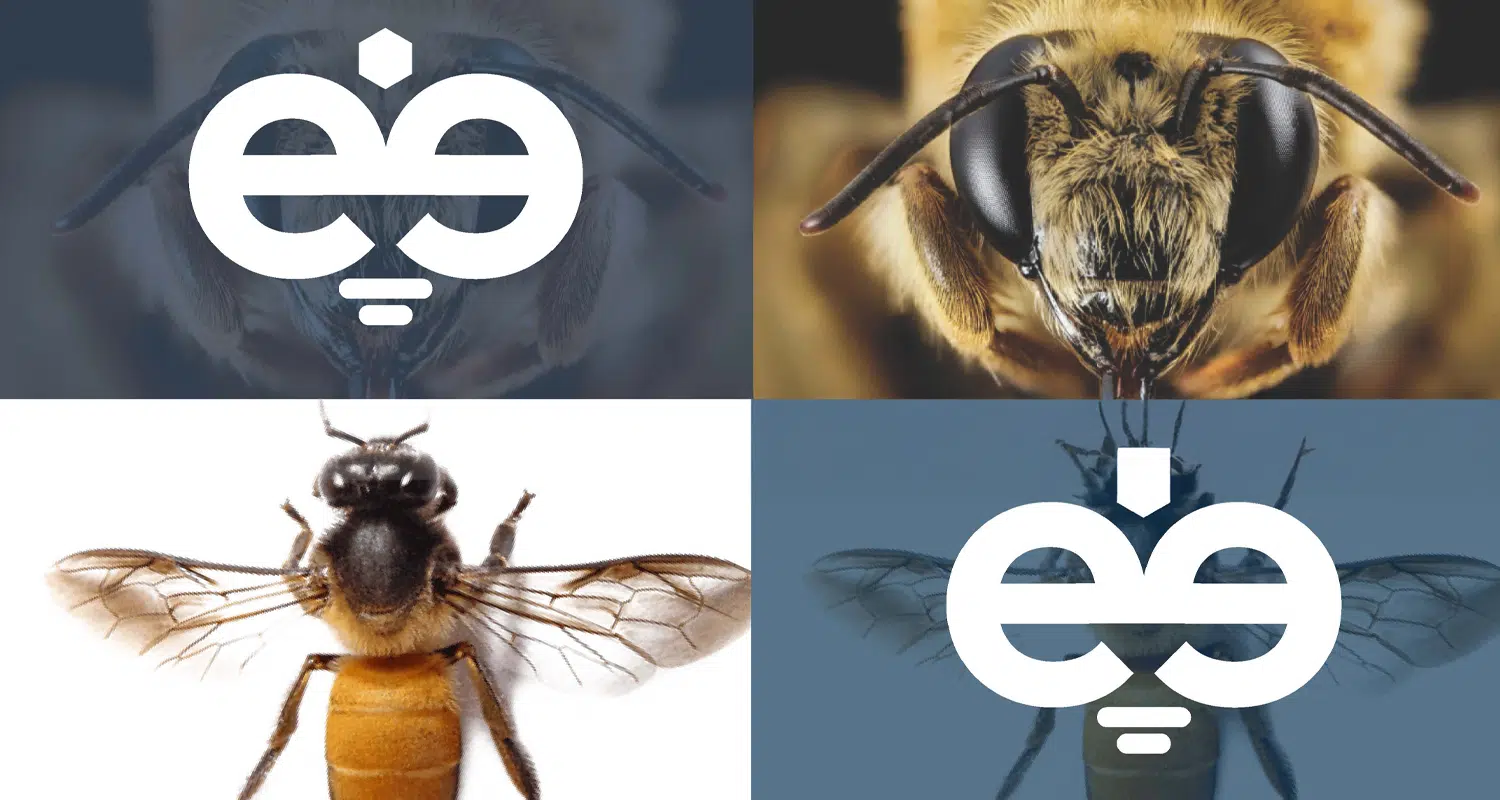 Directrice Artistique et UX/UI designer à Paris - Portfolio - Direction Artistique & UX/UI Design pour Globees - Charte Graphique