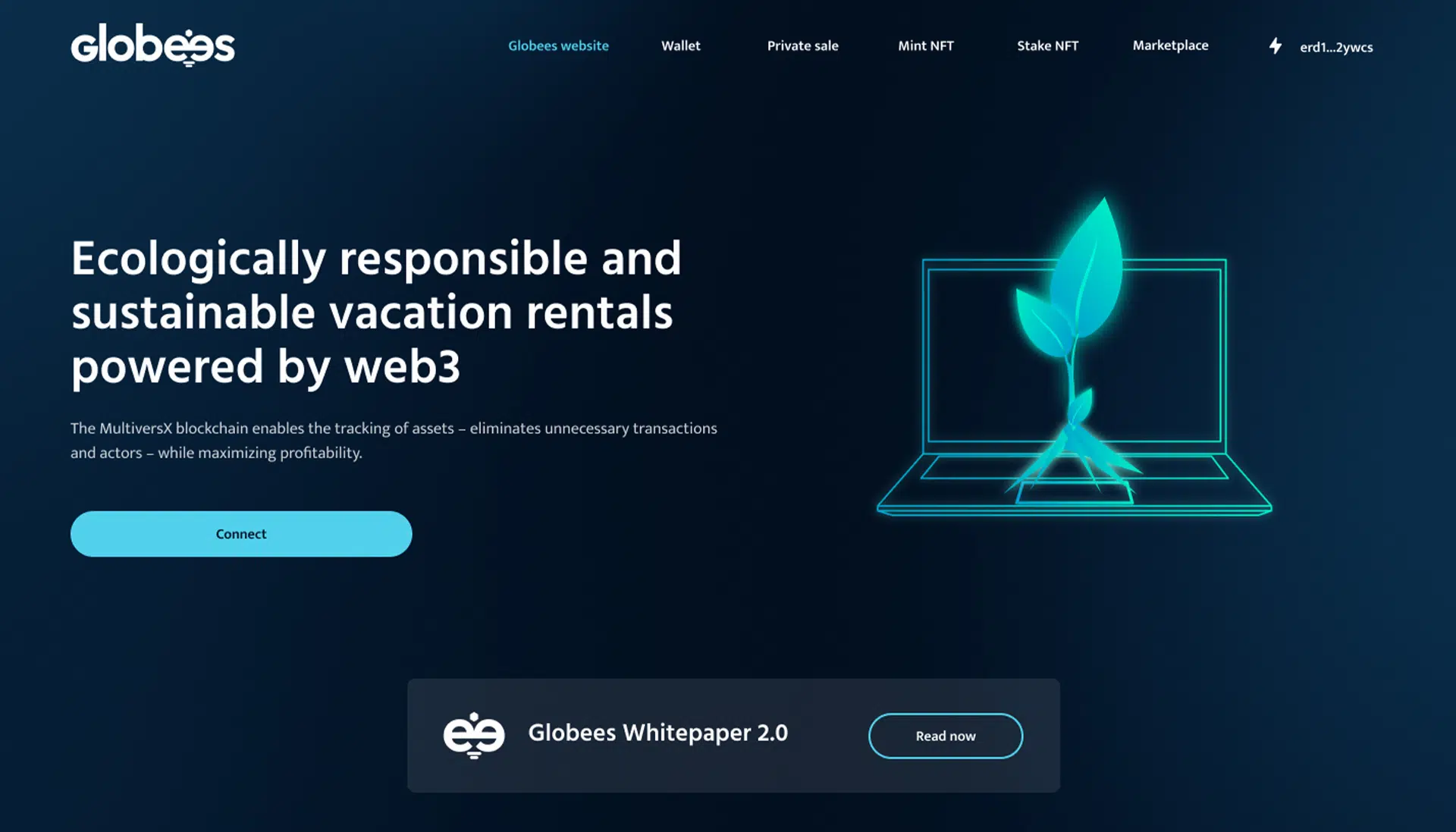 Directrice Artistique et UX/UI designer à Paris - Portfolio - Direction Artistique & UX/UI Design pour Globees - DApp WEB3