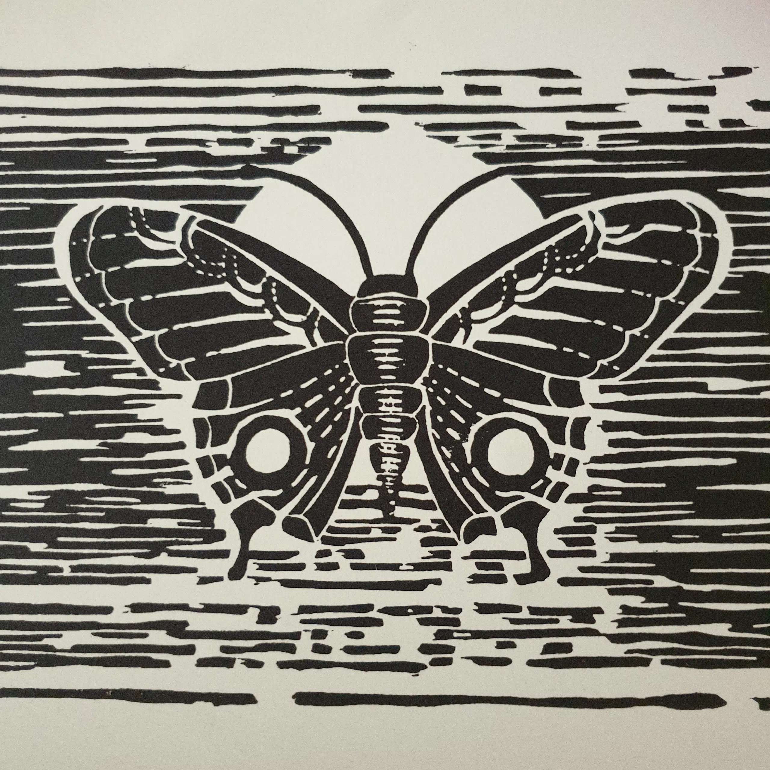 Directrice Artistique et UX/UI designer à Paris - Portfolio - Linogravure : Chrysalide