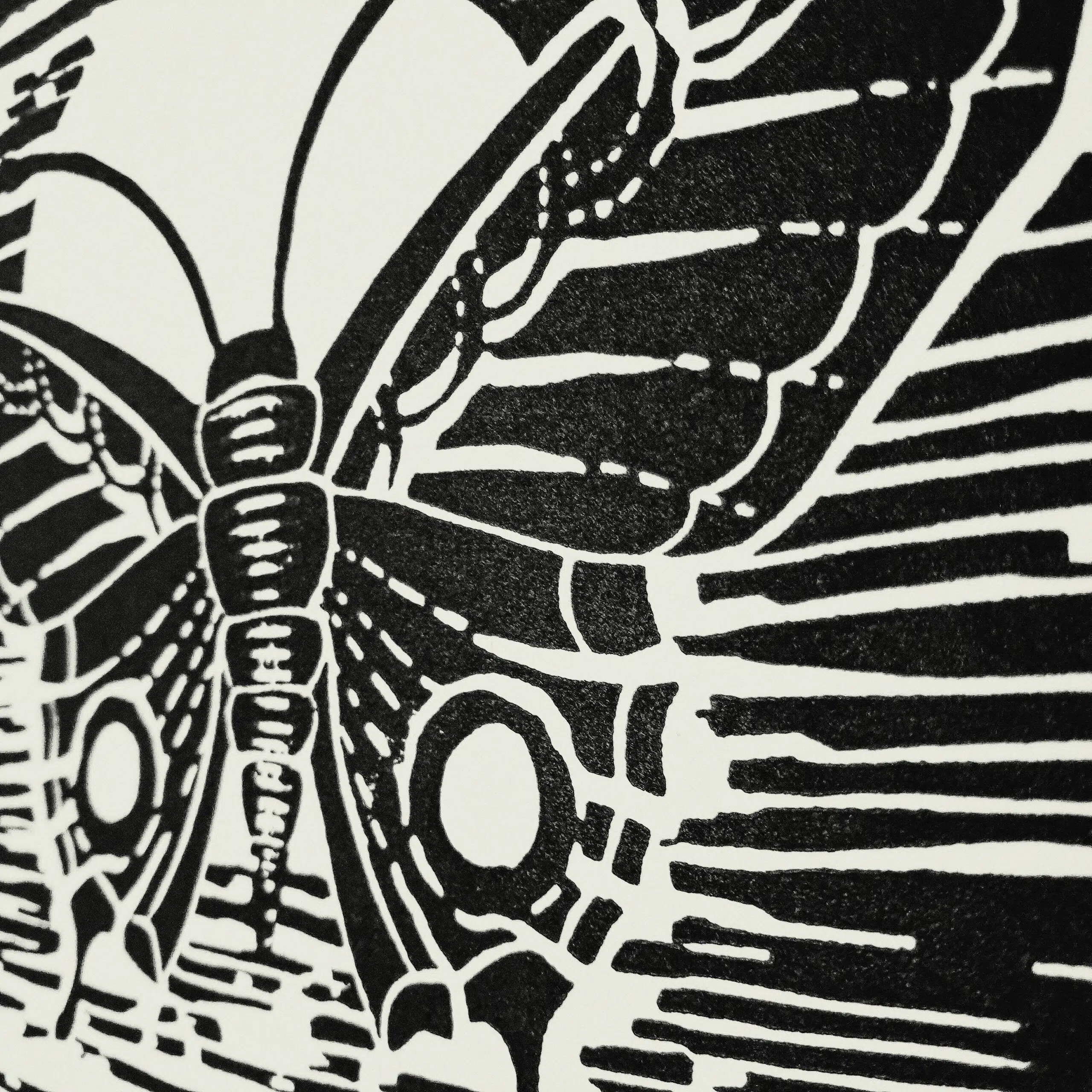 Directrice Artistique et UX/UI designer à Paris - Portfolio - Linogravure : Chrysalide