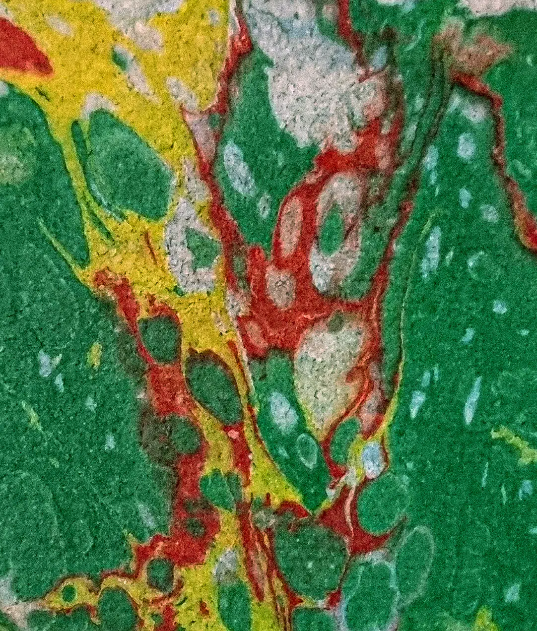 Carnets marbré – Vert ardant.